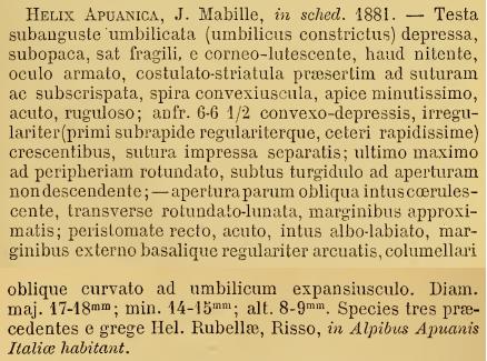 Helix sobara Mabille,1881